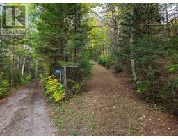 1810 Boldts Lane, Minden Hills, ON K0M2K0 Photo 32