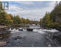 1810 Boldts Lane, Minden Hills, ON K0M2K0 Photo 34