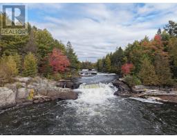 1810 Boldts Lane, Minden Hills, ON K0M2K0 Photo 35