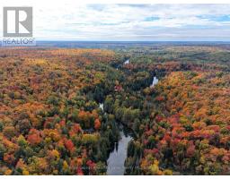 1810 Boldts Lane, Minden Hills, ON K0M2K0 Photo 37