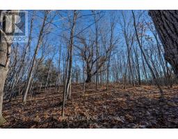 Lot 5 Hinterland Lane, Frontenac, ON K0H1H0 Photo 31