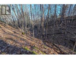 Lot 5 Hinterland Lane, Frontenac, ON K0H1H0 Photo 32