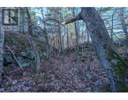 Lot 5 Hinterland Lane, Frontenac, ON K0H1H0 Photo 33