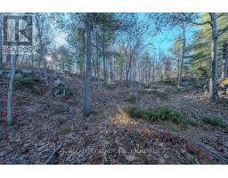 Lot 5 Hinterland Lane, Frontenac, ON K0H1H0 Photo 45