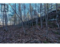 Lot 5 Hinterland Lane, Frontenac, ON K0H1H0 Photo 46