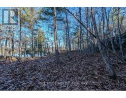 Lot 5 Hinterland Lane, Frontenac, ON K0H1H0 Photo 47