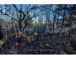 Lot 5 Hinterland Lane, Frontenac, ON K0H1H0 Photo 48