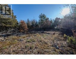 Lot 5 Hinterland Lane, Frontenac, ON K0H1H0 Photo 49