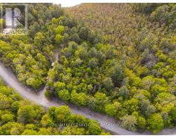 Lot 5 Hinterland Lane, Frontenac, ON K0H1H0 Photo 9