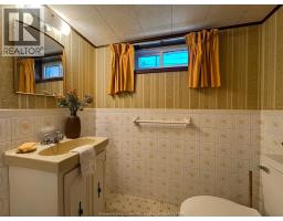 1309 Josephine, Windsor, ON N9B2L8 Photo 29