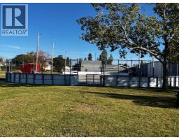 301 3 Street W, Standard, AB T0J3G0 Photo 47