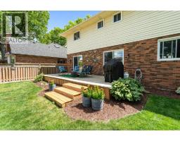 538 Michael Crescent, Lasalle, ON N9J3B9 Photo 42