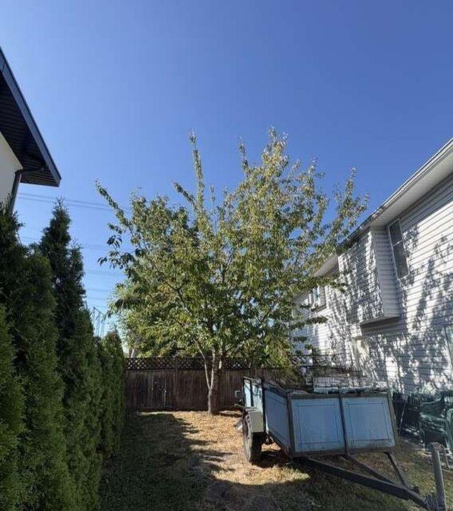 Photo 23 of 30