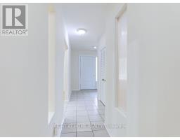 Living room - 341 Rathburn Road, Toronto, ON M9B2L9 Photo 6