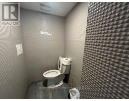 394 Spadina Avenue, Toronto, ON M5T2G5 Photo 9
