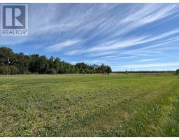 993 Fisher Road, Emo, ON P0W1E0 Photo 37