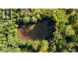 2362 Alps Road, Ayr, ON N0B1E0 Photo 33