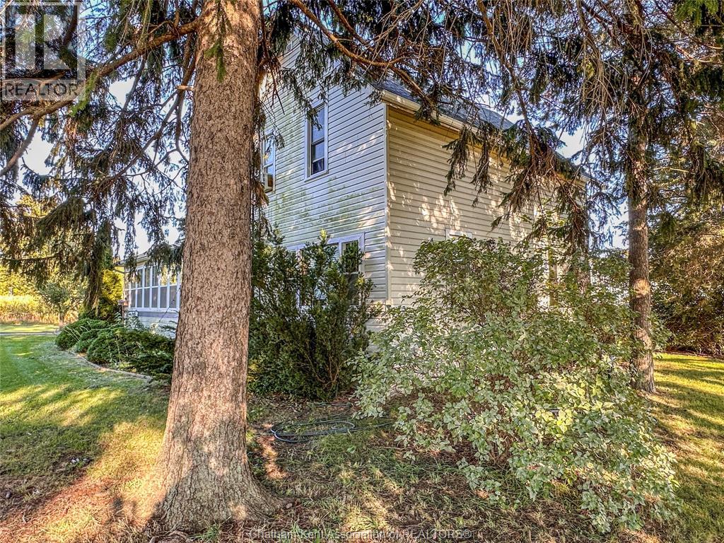 11036 Brush LINE - 42