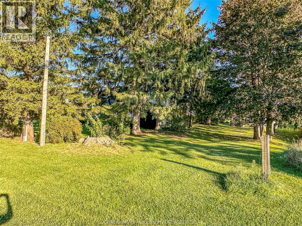 11036 Brush LINE - 43