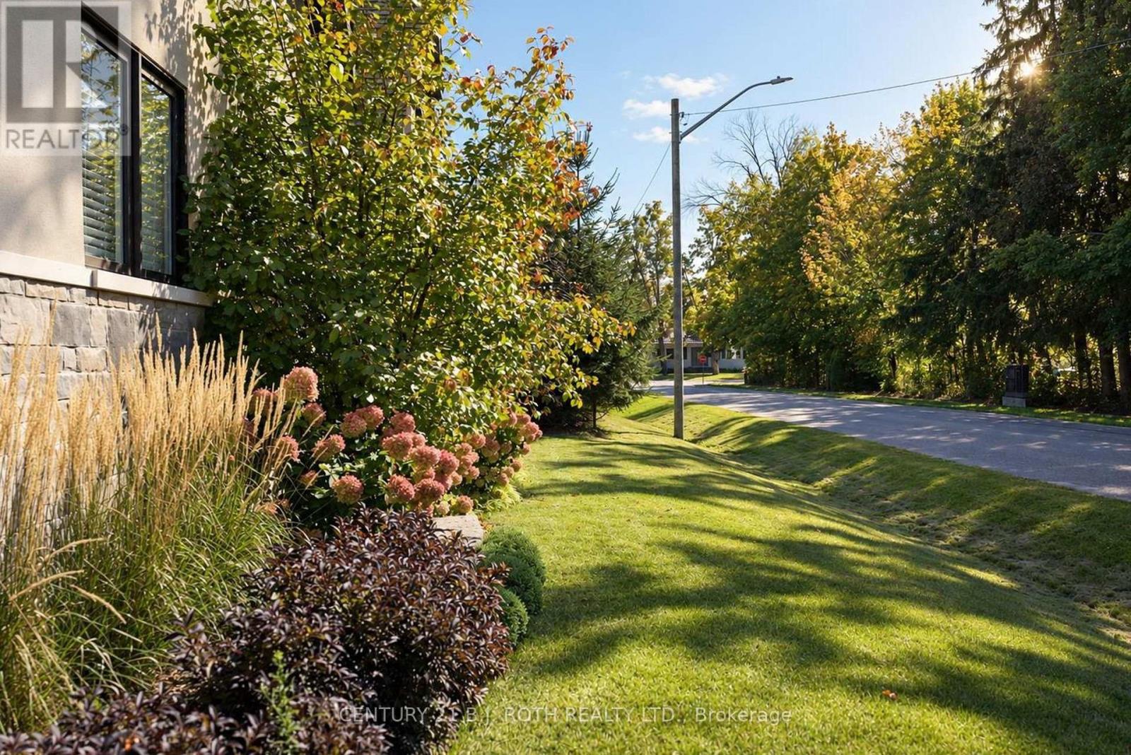 245 SUNNYBRAE AVENUE - Image 46