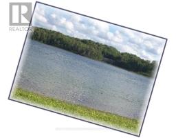 Lot 67 Brewester's Lake Road, Grey Highlands, ON N0C1M0 Photo 6
