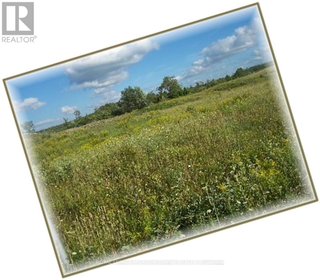Lot 67 Brewester's Lake Road, Grey Highlands, ON photo 7