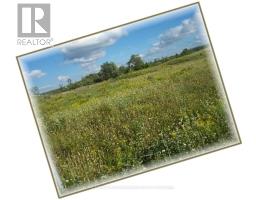 Lot 67 Brewester's Lake Road, Grey Highlands, ON N0C1M0 Photo 7
