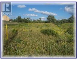 Lot 67 Brewester's Lake Road, Grey Highlands, ON N0C1M0 Photo 8