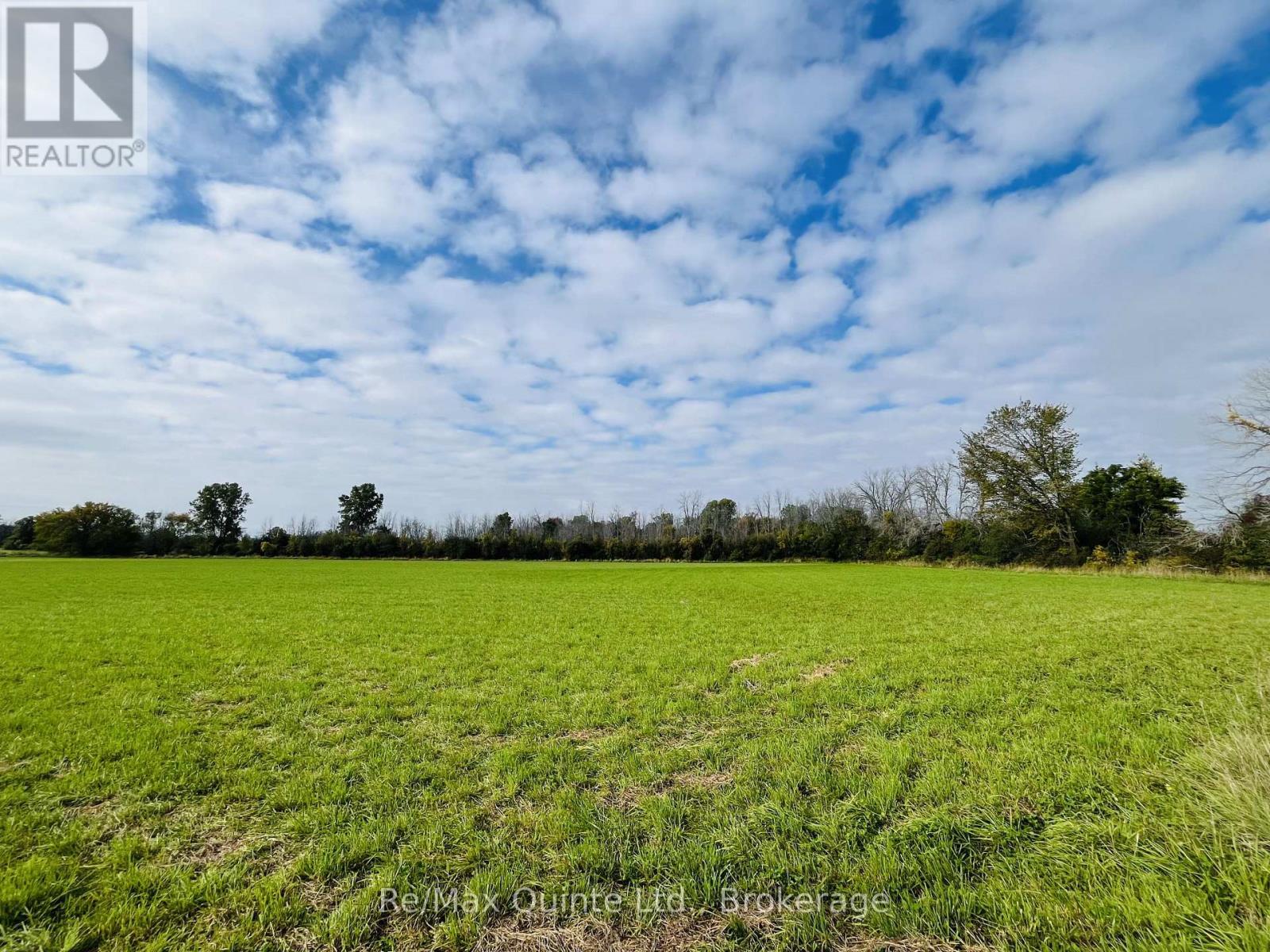 . FORSYTHE ROAD, Belleville (Thurlow Ward) — photo 3