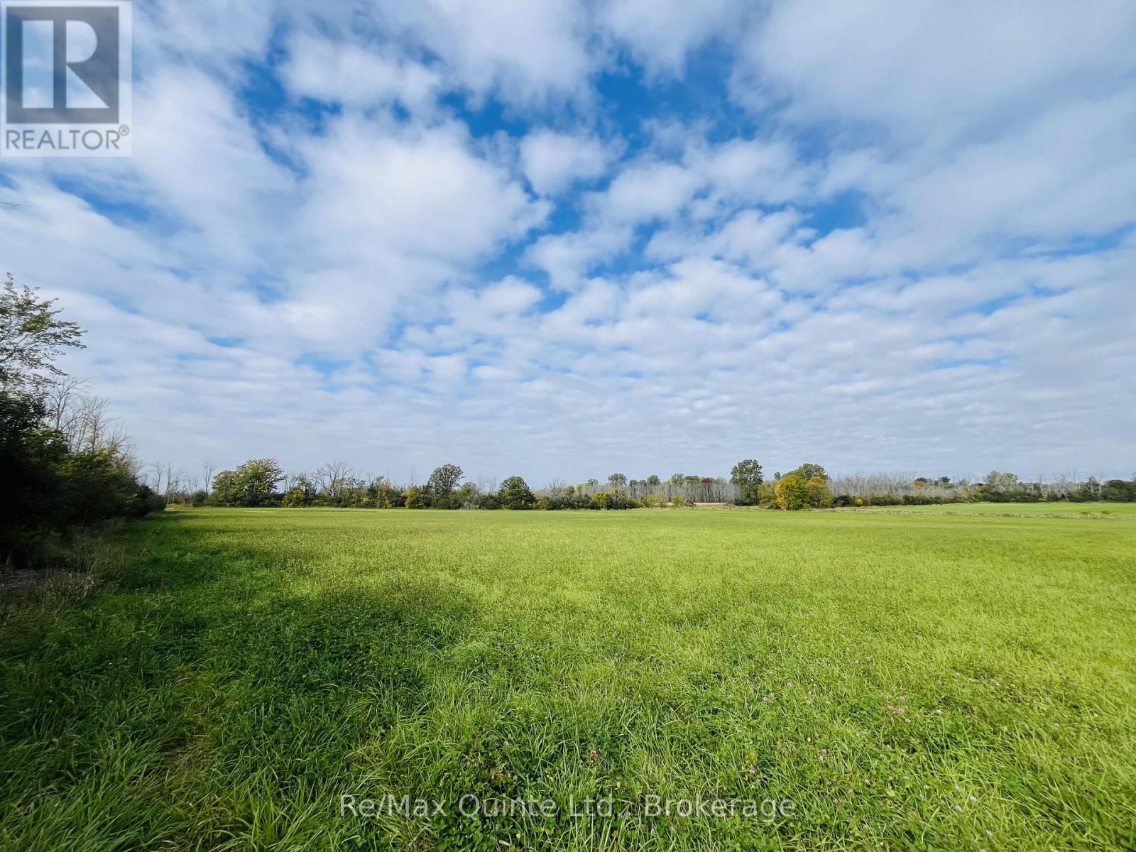 . FORSYTHE ROAD, Belleville (Thurlow Ward) — photo 5