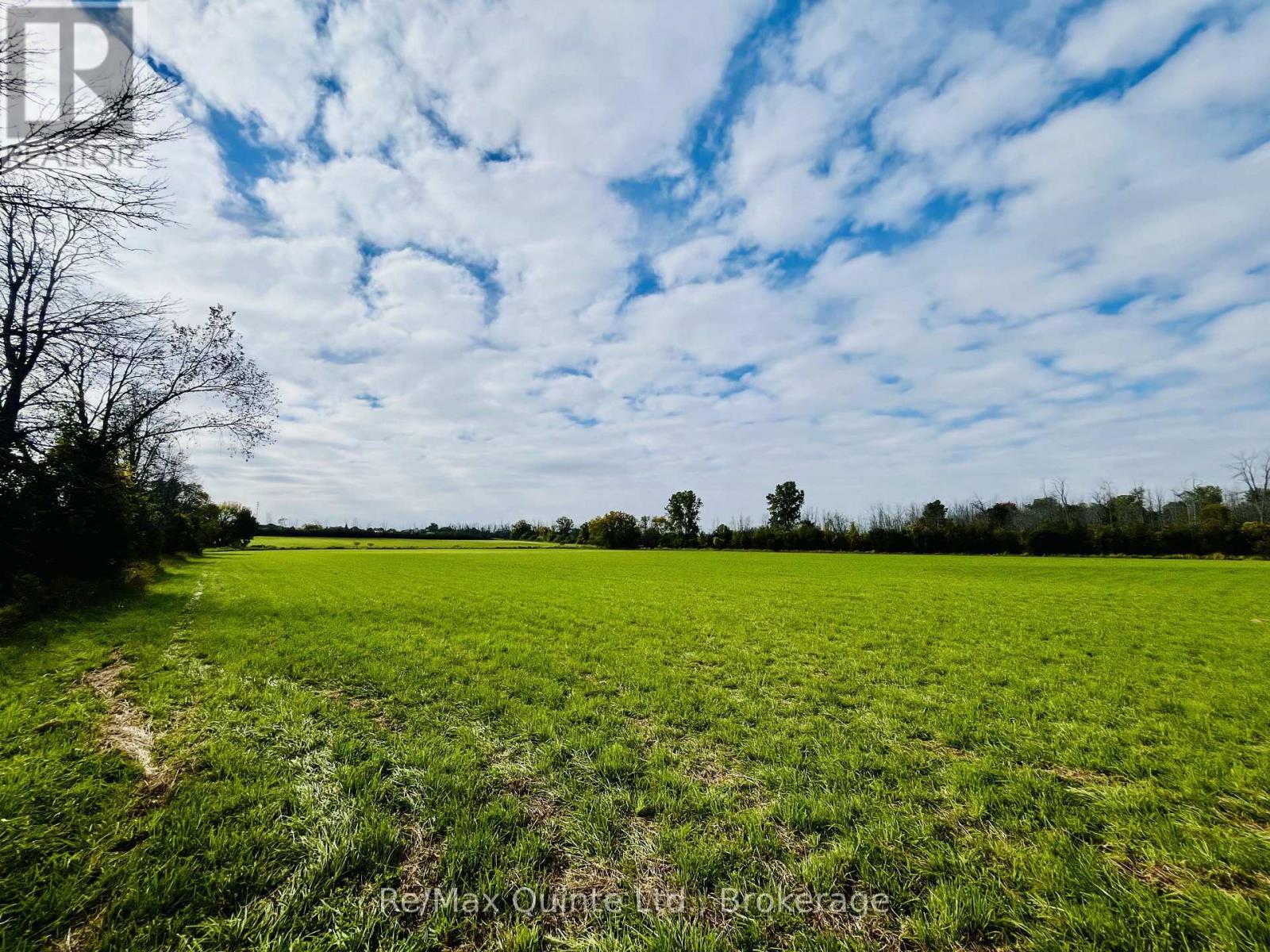 . FORSYTHE ROAD, Belleville (Thurlow Ward) — photo 6