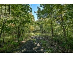 115 Jones Road, Gravenhurst), ON P1P1M8 Photo 38