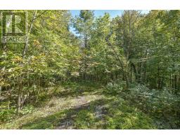 115 Jones Road, Gravenhurst), ON P1P1M8 Photo 39