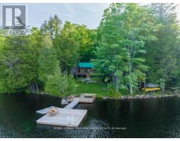 251a - 19 Fire Route, Trent Lakes, ON K0L1J0 Photo 45