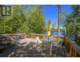 251a - 19 Fire Route, Trent Lakes, ON K0L1J0 Photo 39