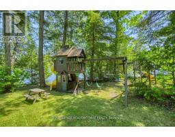 251a - 19 Fire Route, Trent Lakes, ON K0L1J0 Photo 43