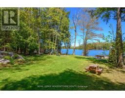 251a - 19 Fire Route, Trent Lakes, ON K0L1J0 Photo 41