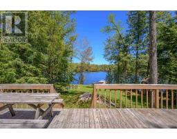 251a - 19 Fire Route, Trent Lakes, ON K0L1J0 Photo 38