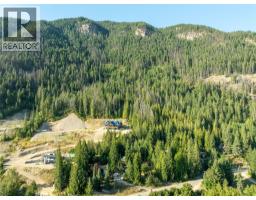 8 Old Town Road, Sicamous, BC V0E2V4 Photo 39