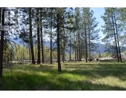 12th Street Lot# 3, Grand Forks, BC V0H1H0 Photo 19