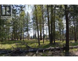 12th Street Lot# 3, Grand Forks, BC V0H1H0 Photo 16