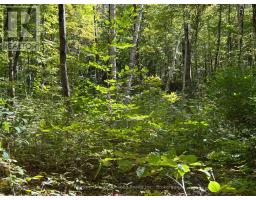 0 Tally Ho Winter Park Road, Lake Of Bays, ON P1H2J3 Photo 6