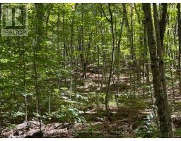 0 Tally Ho Winter Park Road, Lake Of Bays, ON P1H2J3 Photo 7