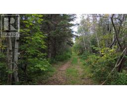 Lot 1 Seaman Street, Margaretsville, NS B0S1N0 Photo 6