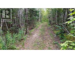 Lot 1 Seaman Street, Margaretsville, NS B0S1N0 Photo 8