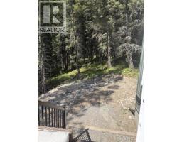 105 Pine Point, Blairmore, AB T0K0E0 Photo 16