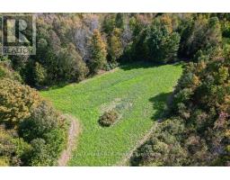 1342 Highway 6, South Bruce Peninsula, ON N0H2T0 Photo 49