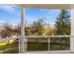 #205 10511 42 Av Nw, Edmonton, AB T6J7G8 Photo 28