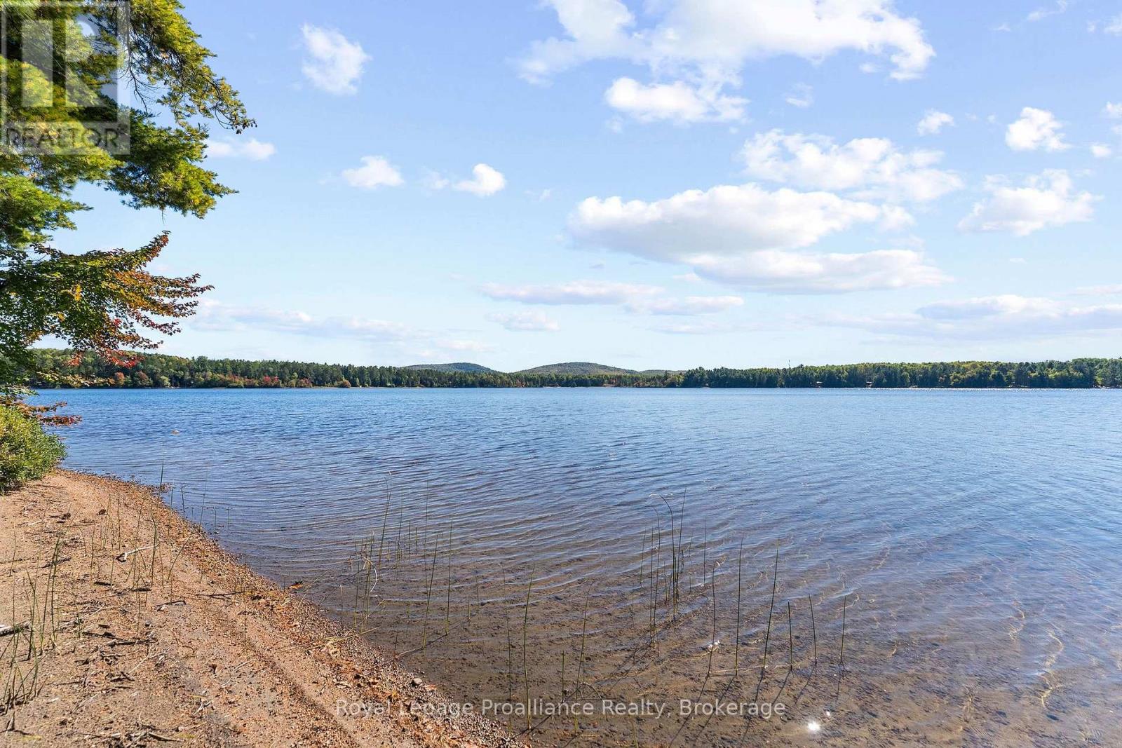 18 SWAN LANE - Image 38