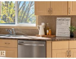 #8 4755 Terwillegar Cm Nw, Edmonton, AB T6R3V6 Photo 15